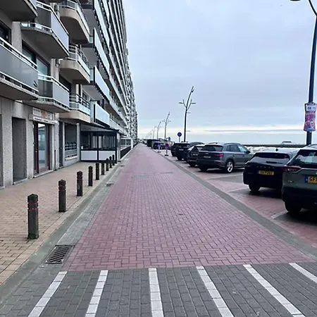 Zeedijk-blankenberge 아파트
